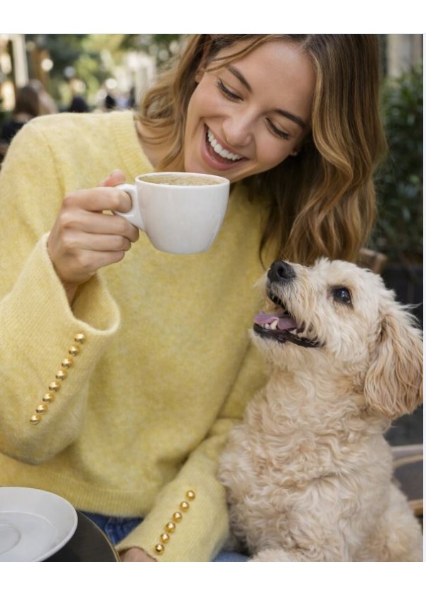 Jersey amarillo botones dorados manga